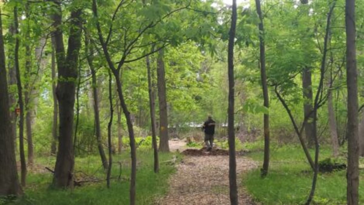 NY Trail Needs 60 Volunteers for Nature Play Space Build - Image 5