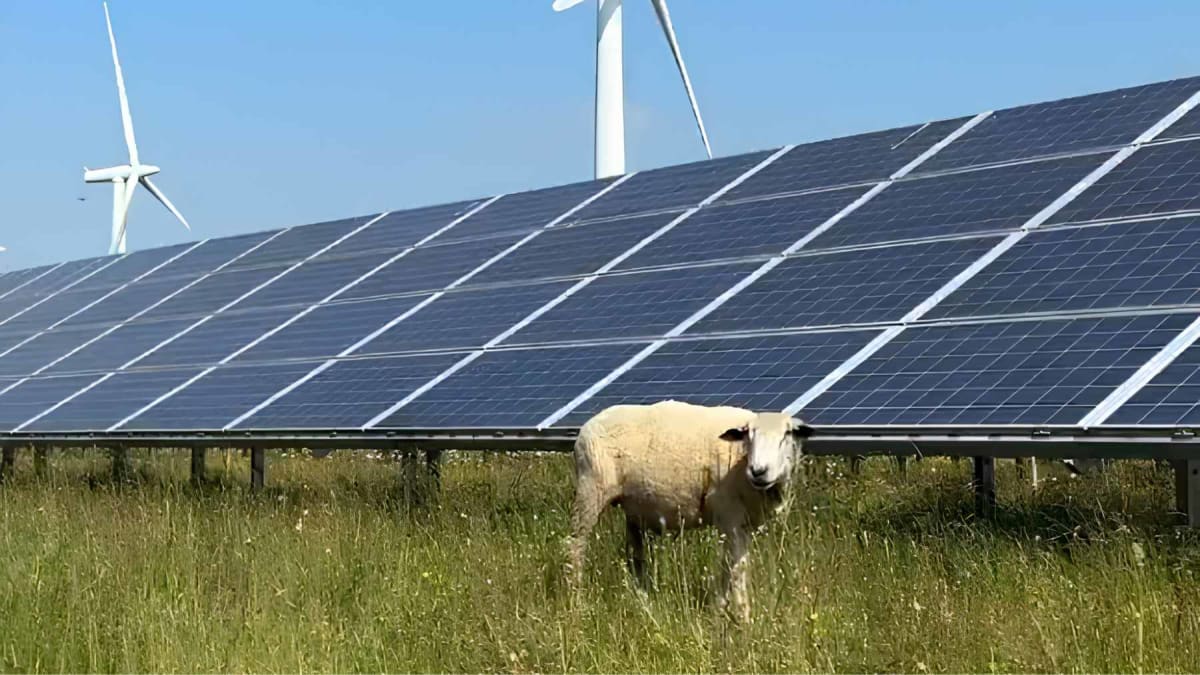 China Powers AI Servers With Wind Energy Under the Sea - Image 4