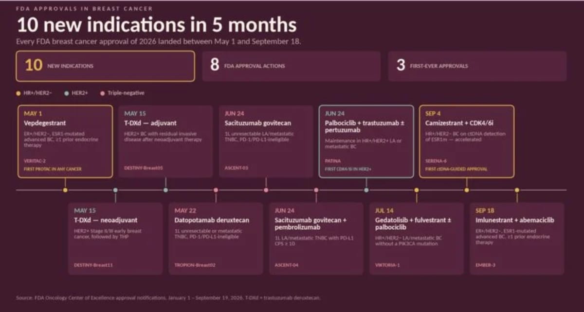 10 Breast Cancer Treatments Approved in Just 5 Months - Image 2