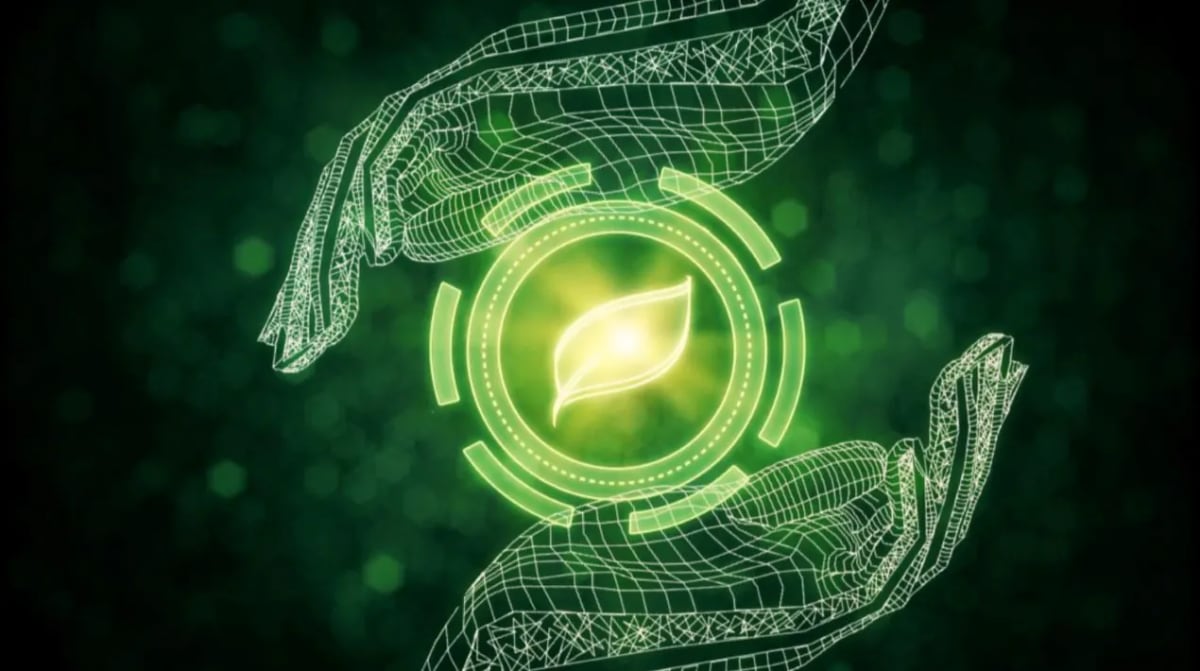 Scientist examining solar-powered artificial leaf device that purifies seawater and produces hydrogen fuel