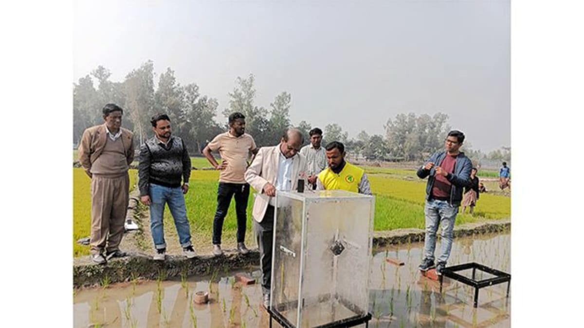 Mitsui Cuts Methane 30% in Bangladesh Rice Fields