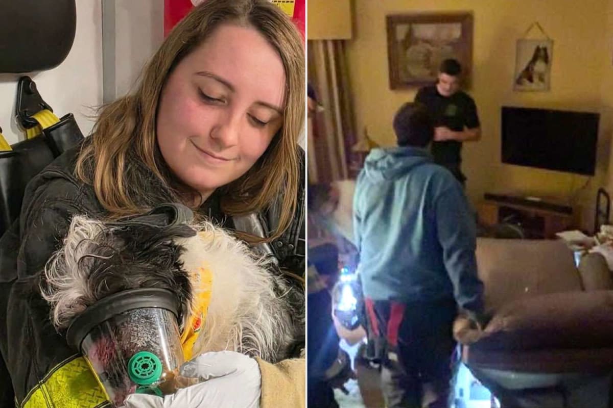 Firefighters Use Jaws of Life to Free Dog From Recliner