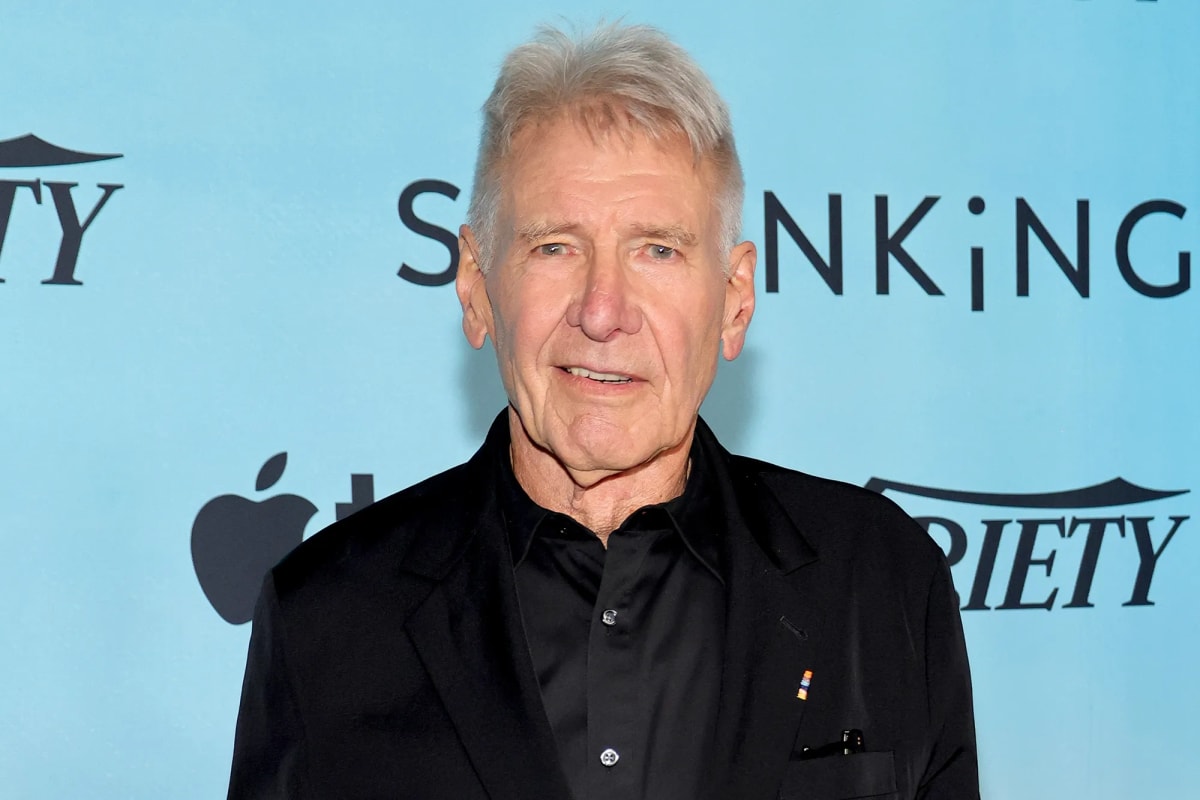 Harrison Ford Rescued Lost Boy Scout in Volunteer Helicopter - Image 5