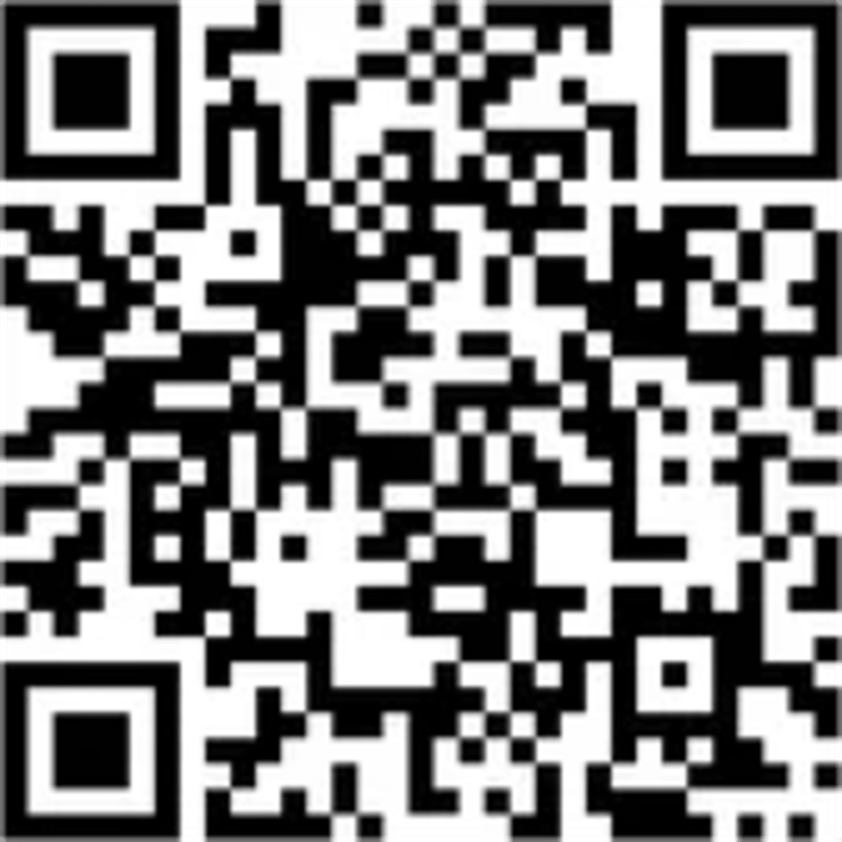 163 Rats Rescued in Massachusetts Find New Homes - Image 4