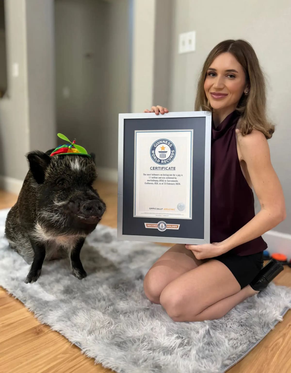 Talking Pig Merlin Breaks World Record With 1.1M Fans - Image 3