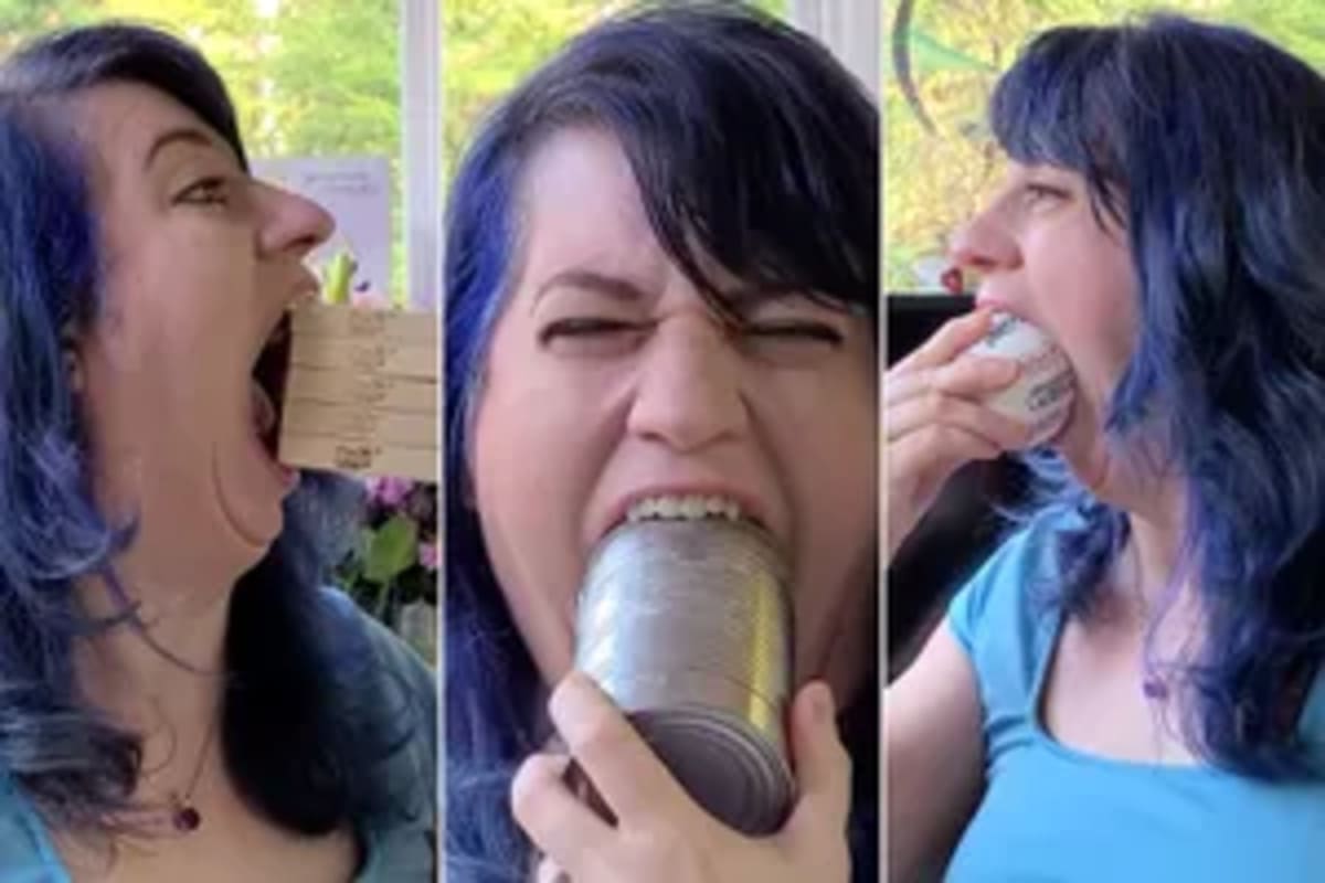 Goldfish Drives 40 Feet in Custom Car for World Record - Image 4