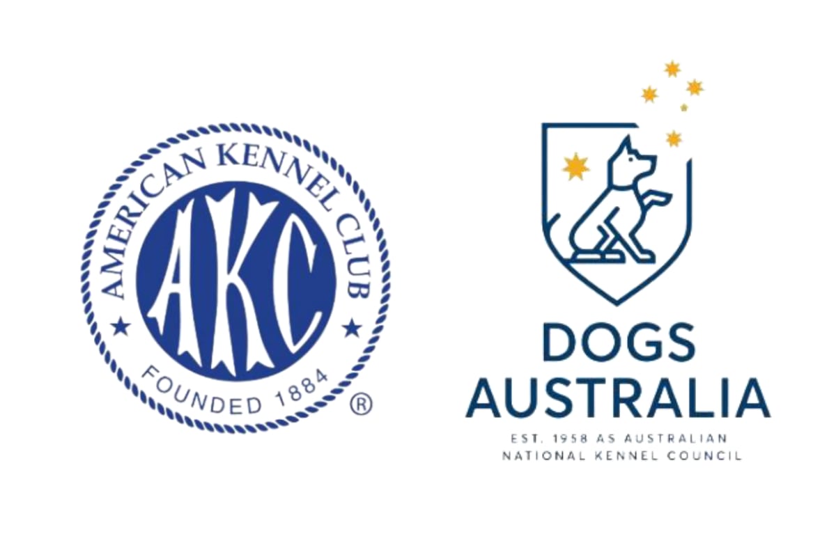 Two purebred dogs sitting together representing international canine organization partnership between countries