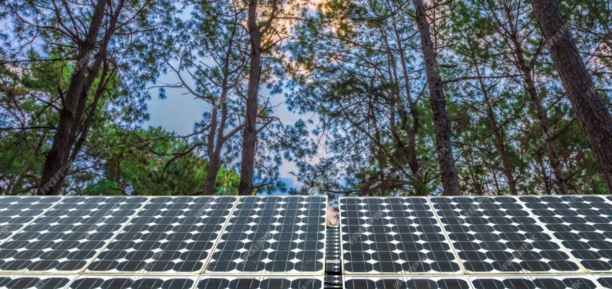 Sweden Greenlights 150 MW Solar Farm With Massive Battery