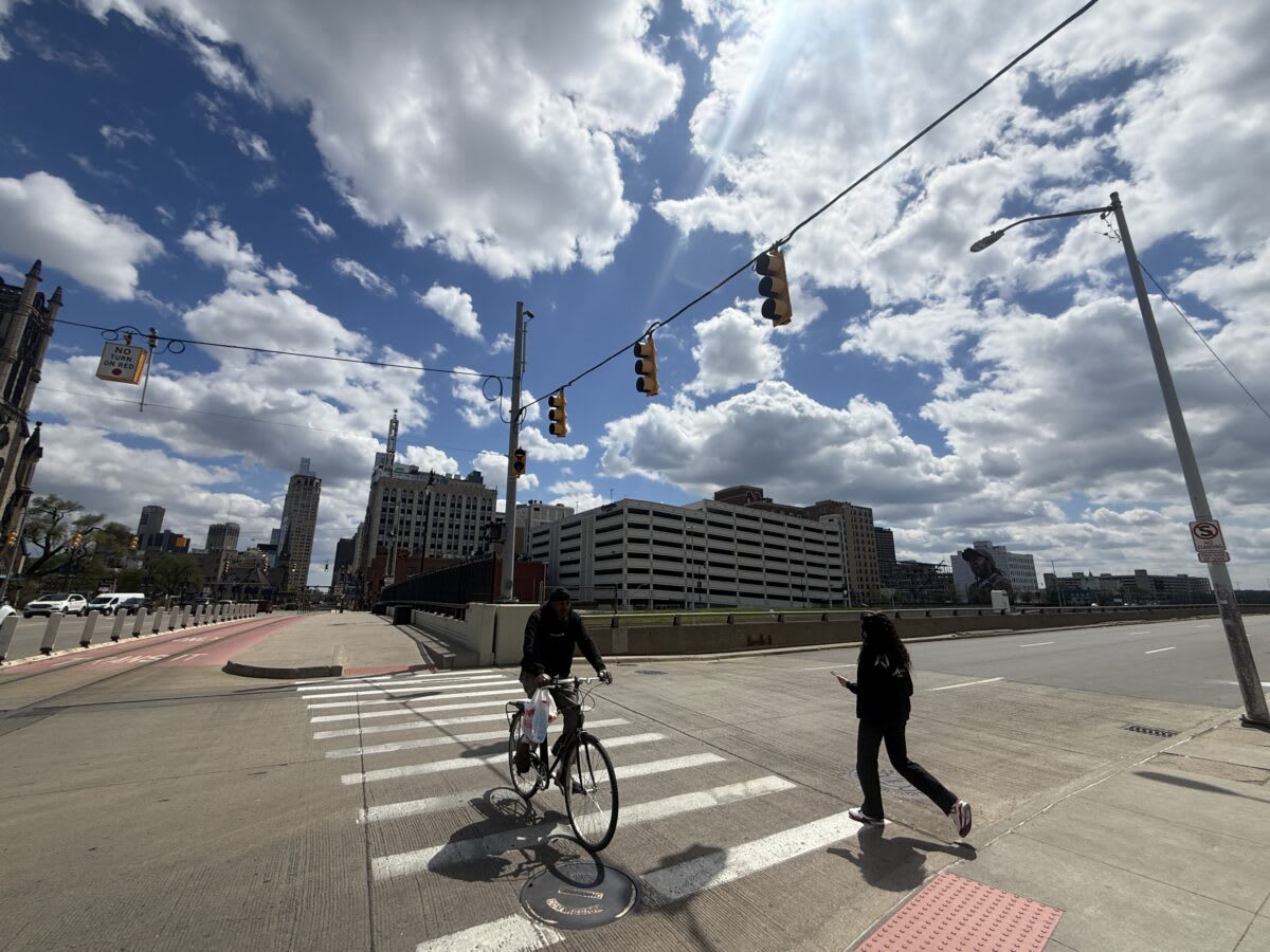 Detroit Plants 1,800 Trees on 55 Vacant Lots Since 2019 - Image 5