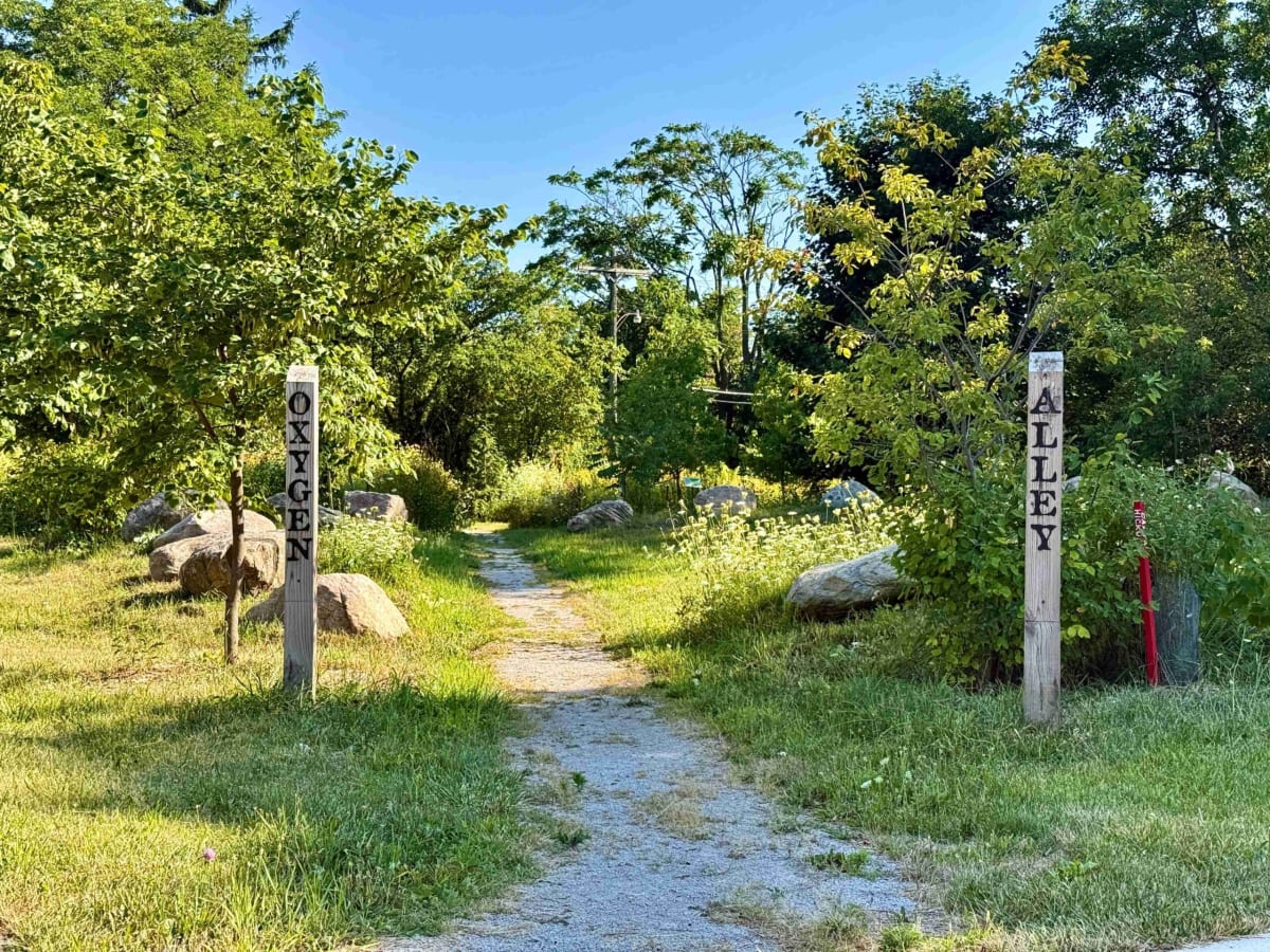 Detroit Plants 1,800 Trees on 55 Vacant Lots Since 2019