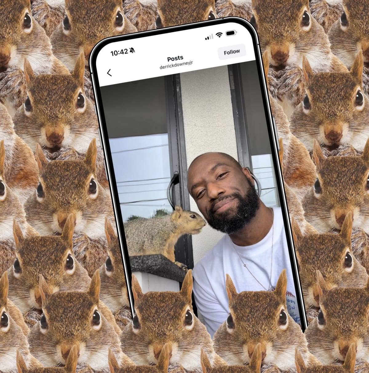 Squirrel Dad Builds Top App Using AI in 4 Months - Image 2