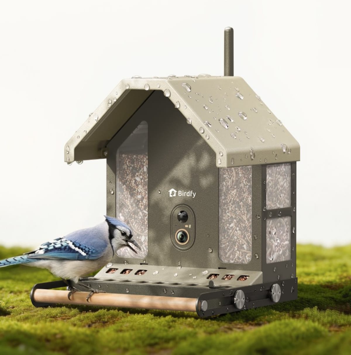 AI Bird Feeder Teaches You About Your Backyard Visitors - Image 4