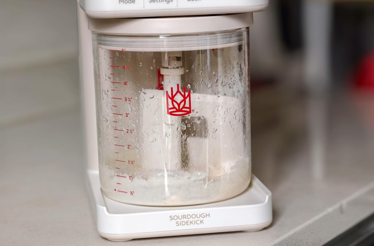 Robot Baker Feeds Your Sourdough While You Sleep - Image 2