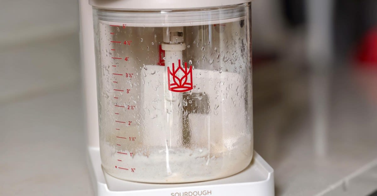 White countertop device with flour hopper and water tank feeding sourdough starter