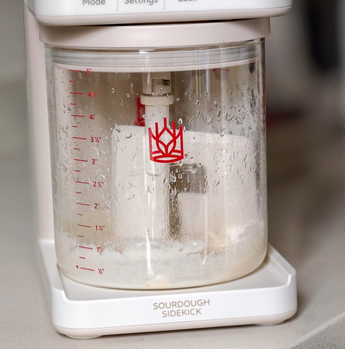 Robot Baker Feeds Your Sourdough While You Sleep - Image 3