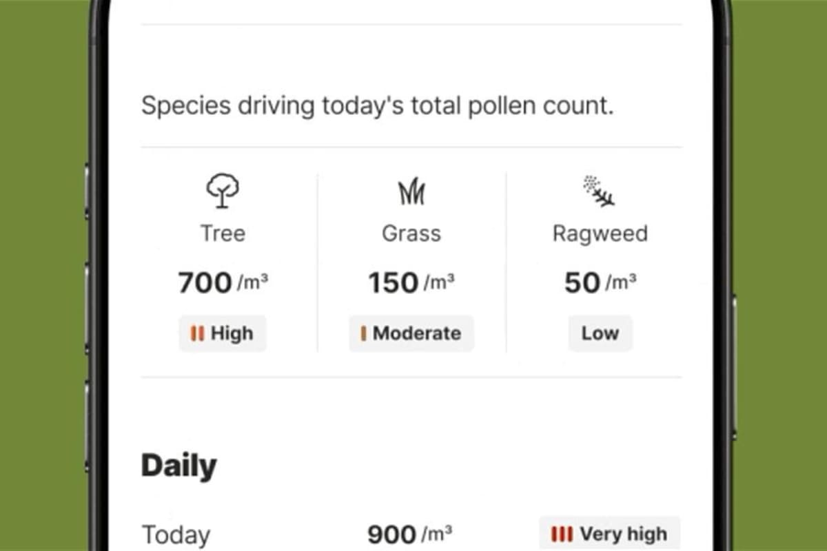 Weather Channel App Now Predicts Your Worst Allergy Days - Image 2
