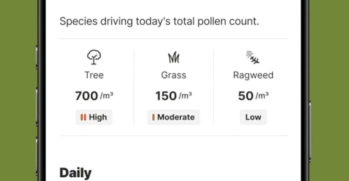 Person checking Weather Channel app on smartphone showing colorful pollen forecast and allergy alert screens