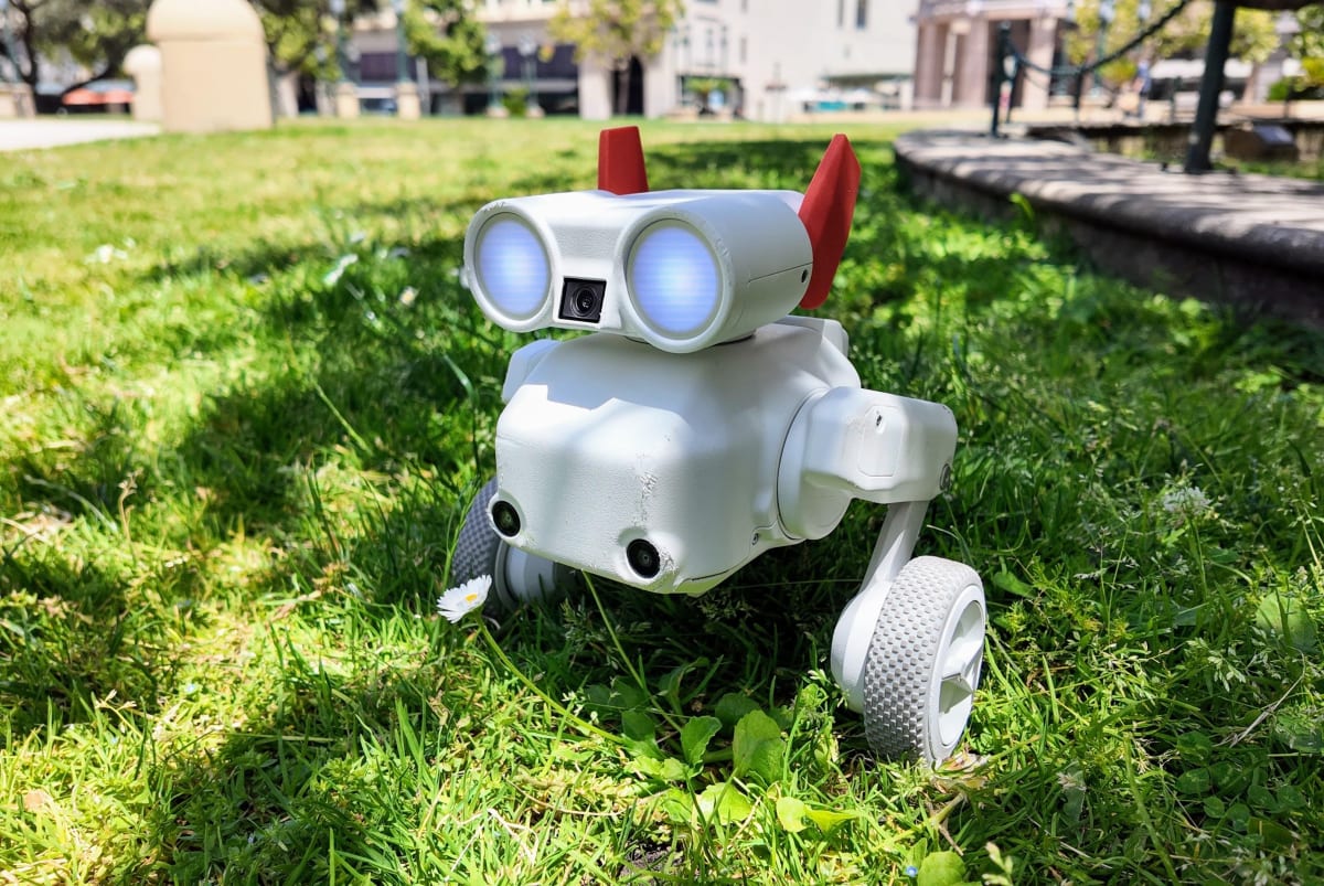 This $800 Robot Dog Jumps, Films, and Gets Back Up - Image 2