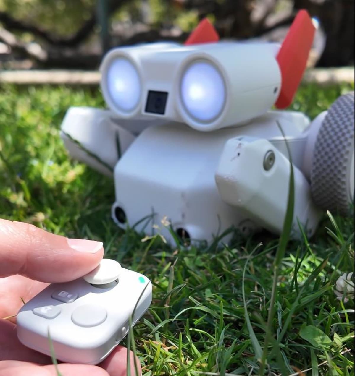 This $800 Robot Dog Jumps, Films, and Gets Back Up - Image 4