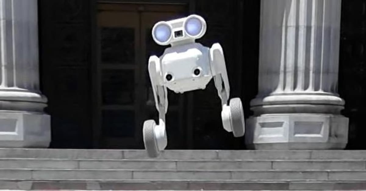 This $800 Robot Dog Jumps, Films, and Gets Back Up