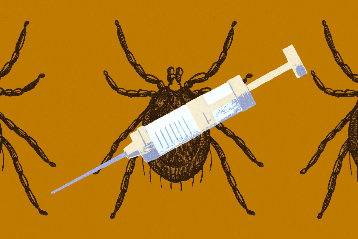 Scientists Close to Universal Vaccine Against All Tick Diseases - Image 2
