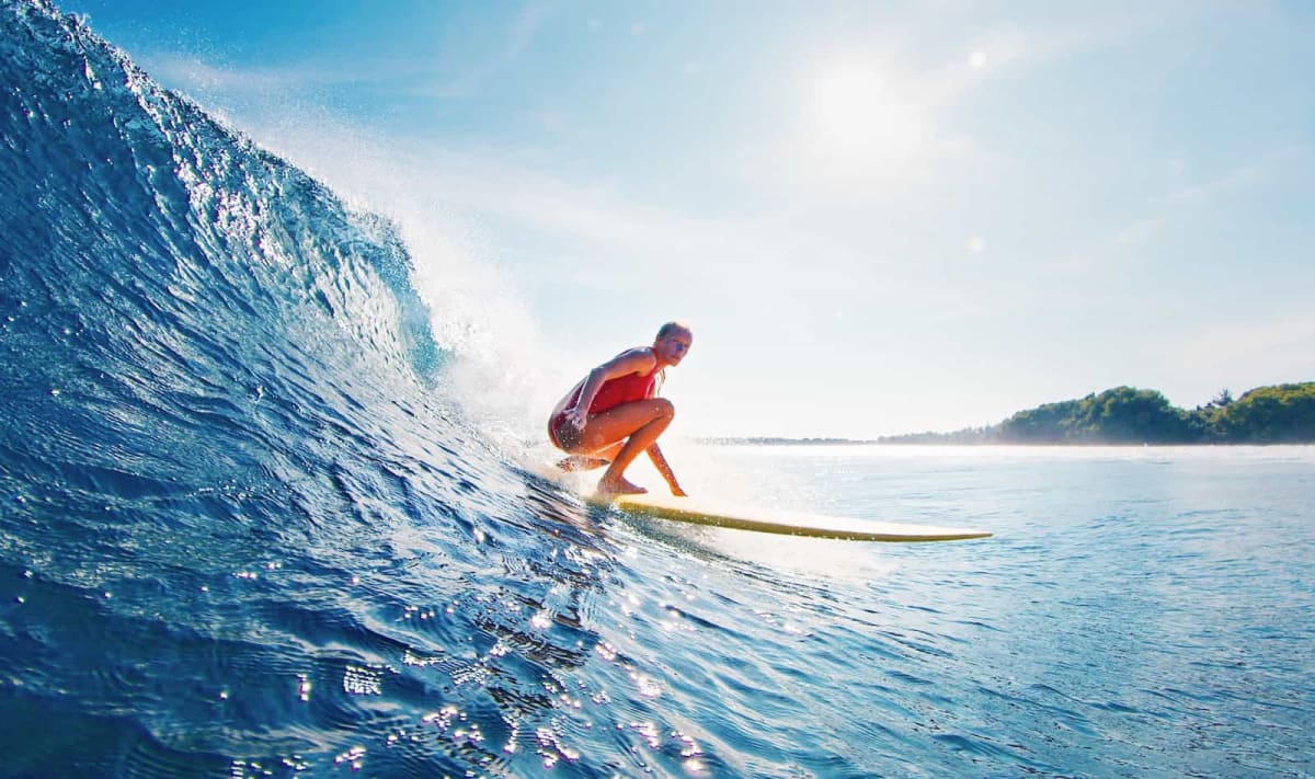 Vibrant coral reef ecosystem thriving in newly protected ocean waters teeming with marine life