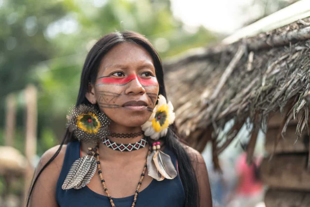 Brazil Slashes Amazon Deforestation to 13-Year Low