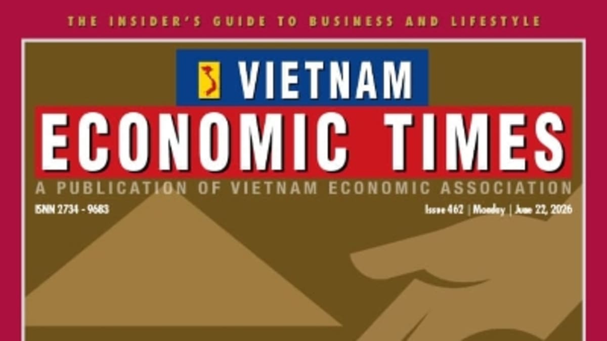 Vietnam Aims for 28% Renewable Energy by Year's End - Image 3