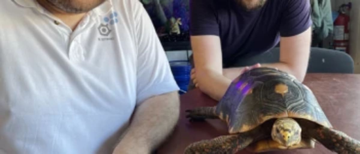 Family Rescues 12,000 Animals in 32 Years of Wildlife Work - Image 2