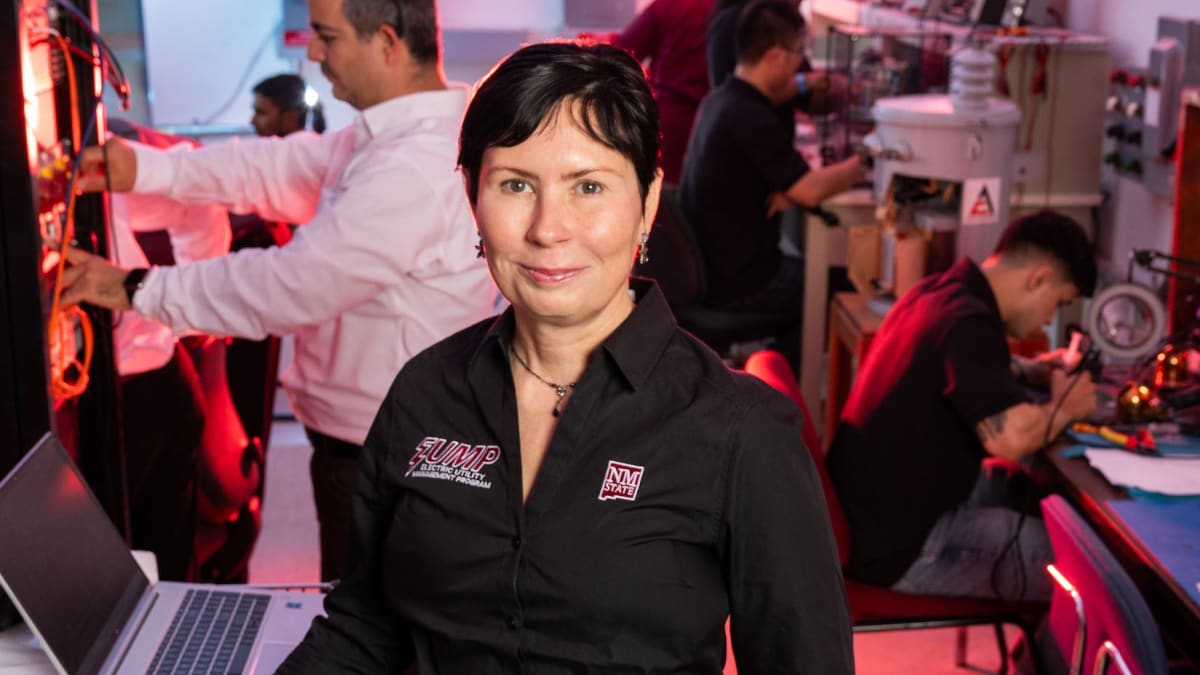 New Mexico Invests $31M in Clean Energy Grid Innovation - Image 2