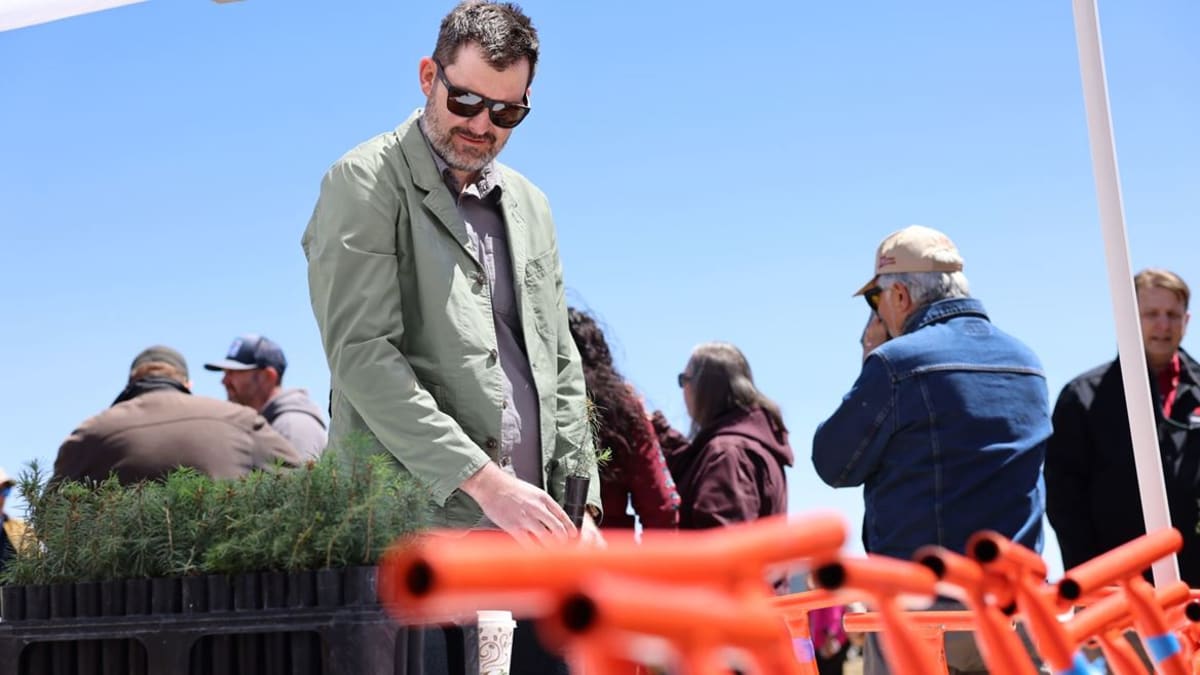New Mexico Breaks Ground on 5M Seedling Reforestation Hub