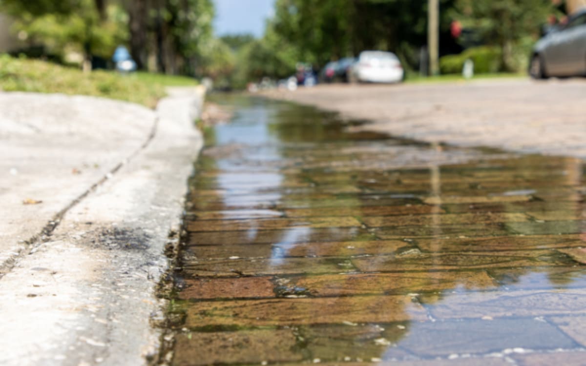 Florida Tax Volunteers Saved Families $2.7M Last Year - Image 4