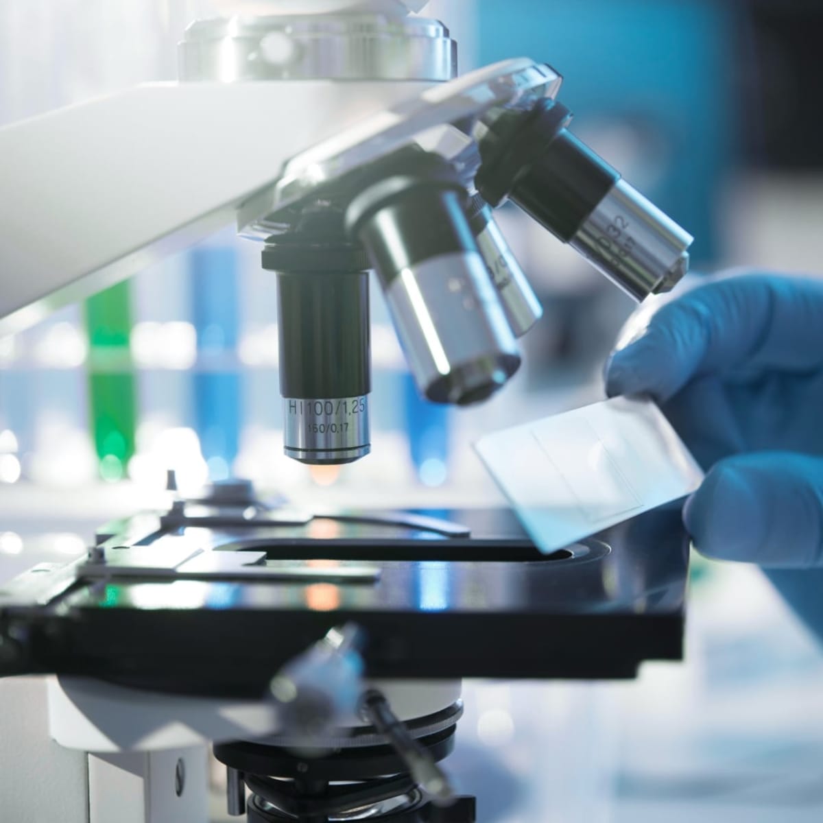 Medical researcher examining samples in modern laboratory supported by philanthropic funding