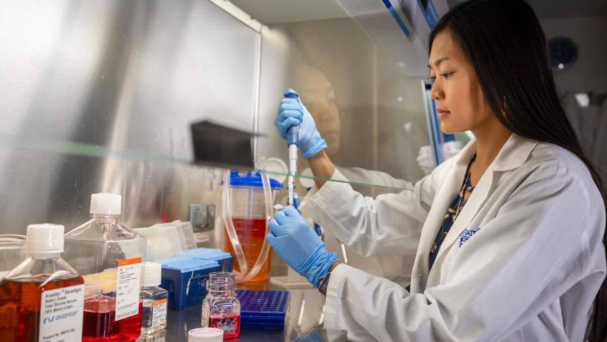 Penn State Finds New Path to Treat 30% of Cancers