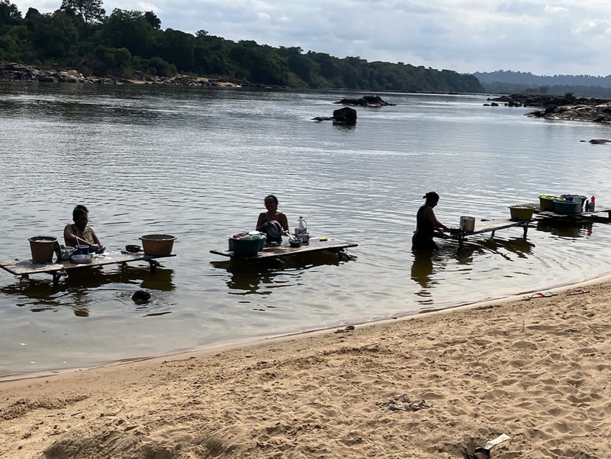 Amazon Communities Turn Forest Care Into Income - Image 2