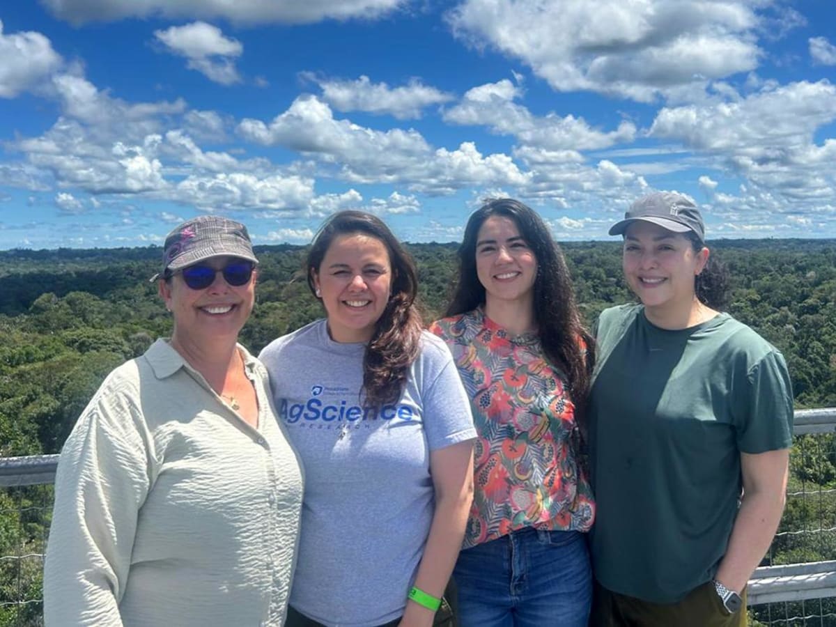 Amazon Communities Turn Forest Care Into Income - Image 5