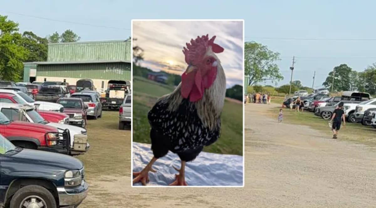 People gathered at rural Alabama livestock auction barn raising funds for sick baby