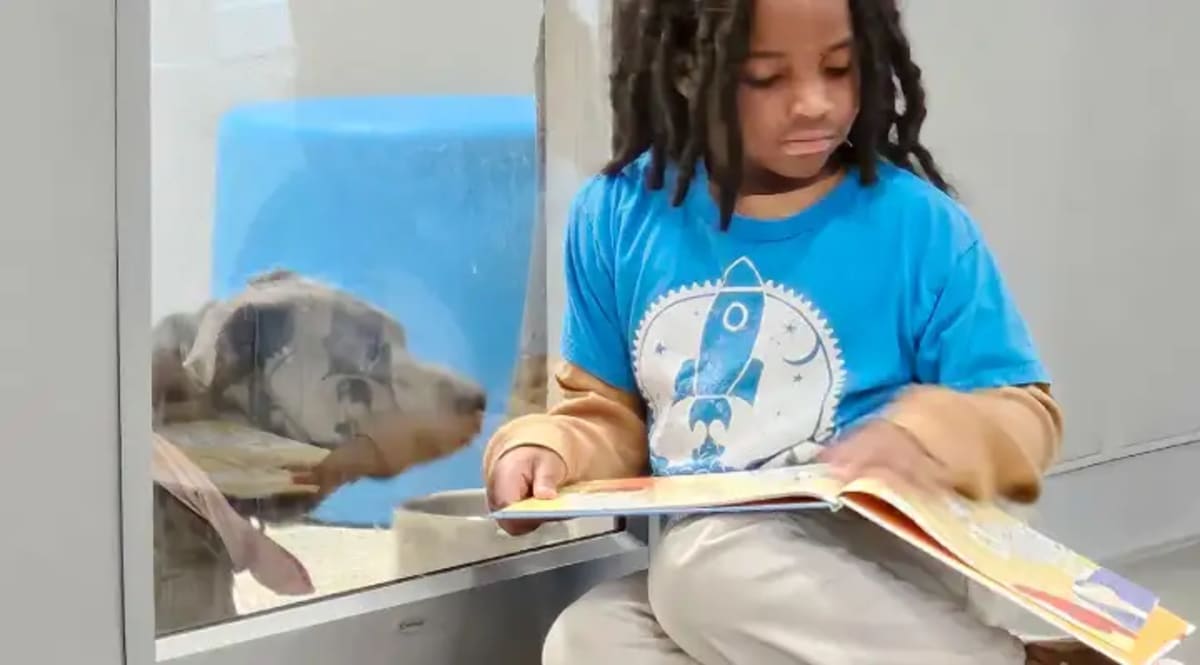 11-Year-Old Reads 100 Hours to Shelter Dogs in Florida