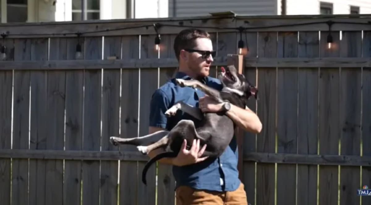 Milwaukee Crew Saves Dog From Trash, Then Adopts Him