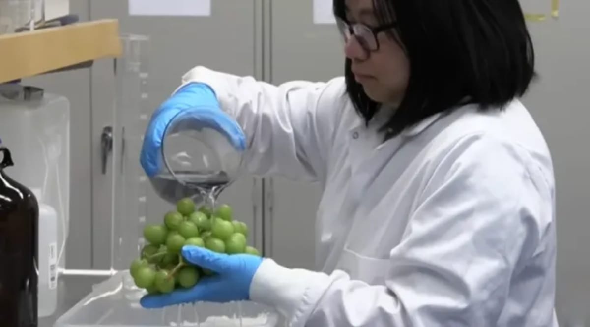 New Fruit Wash Removes 94% of Pesticides, Keeps Produce Fresh