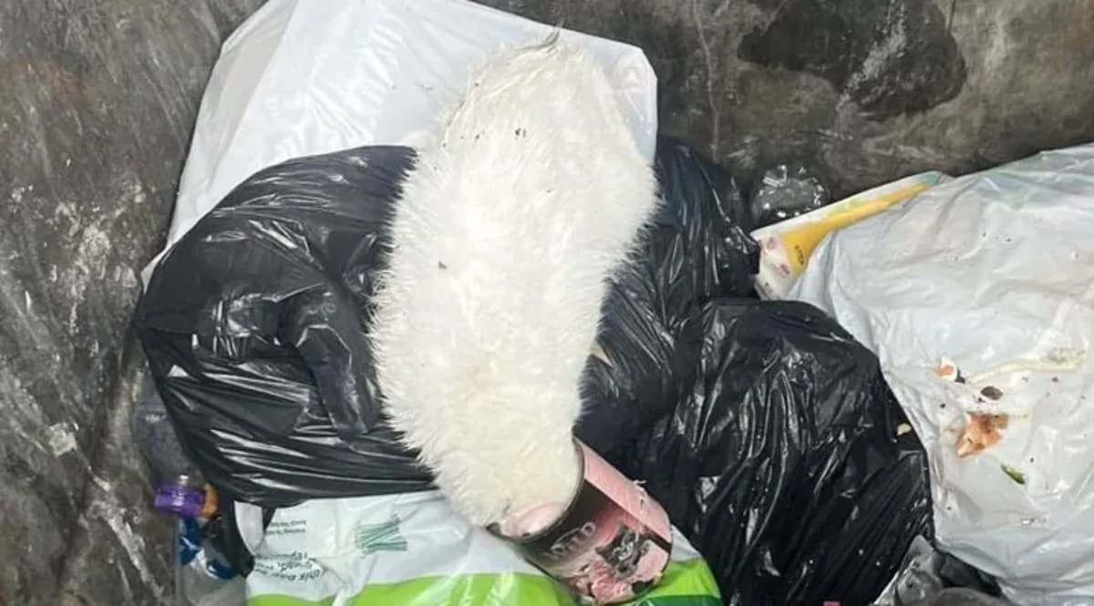 76-Year-Old Vietnam Vet Found Alive After 4 Days Lost - Image 5