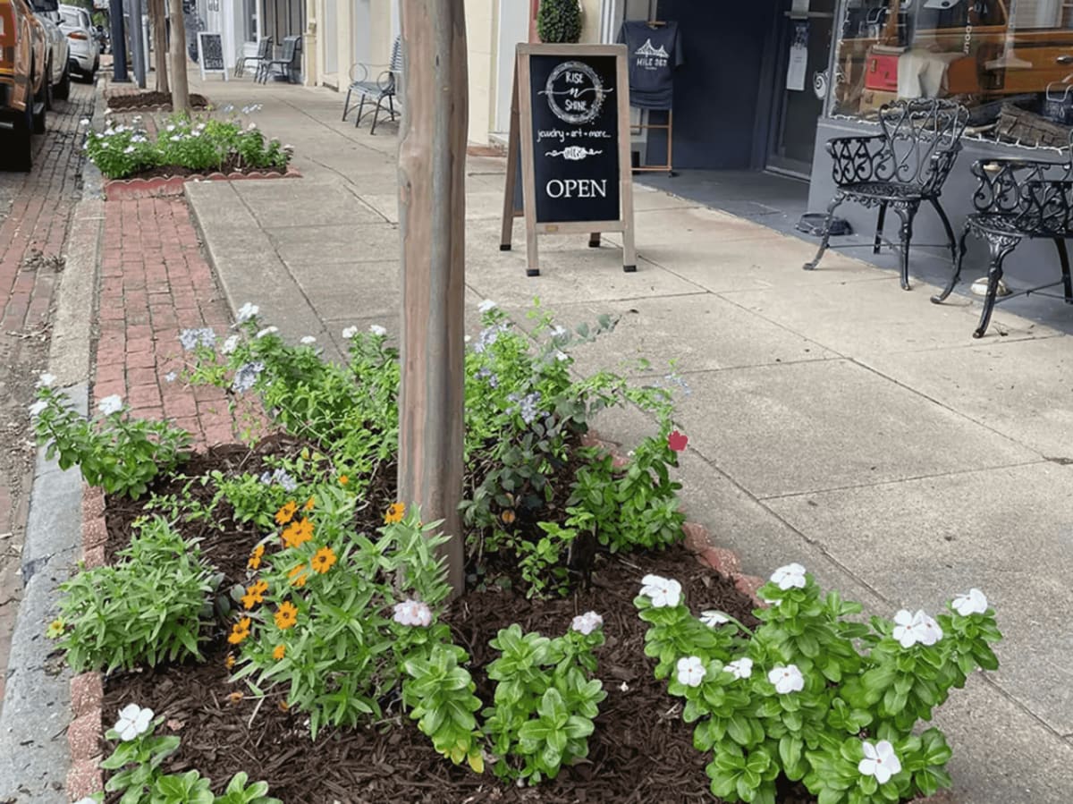 Natchez Needs Volunteers to Plant 1,000 Colorful Bulbs - Image 3