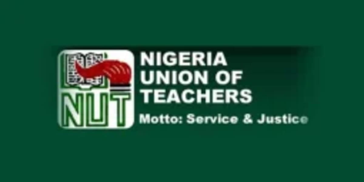 Nigeria Creates 774 Safe Spaces for Violence Survivors - Image 3