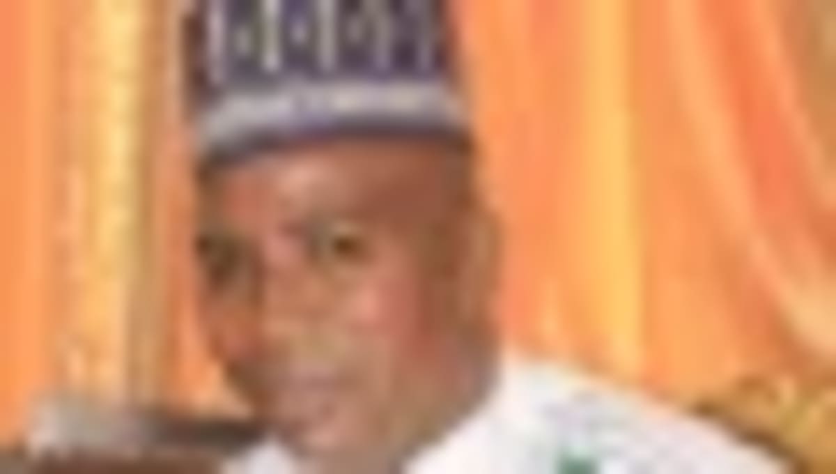 Nigeria to Deploy 80M Green Cookstoves in Climate Push - Image 4
