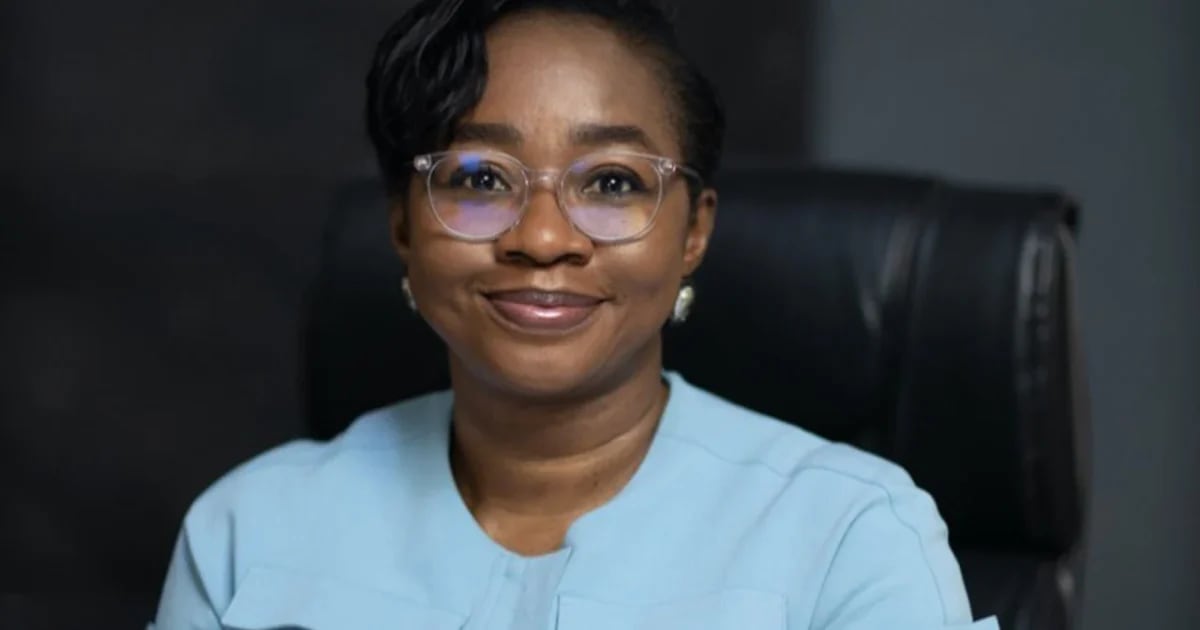 Nigeria to Deploy 80M Green Cookstoves in Climate Push