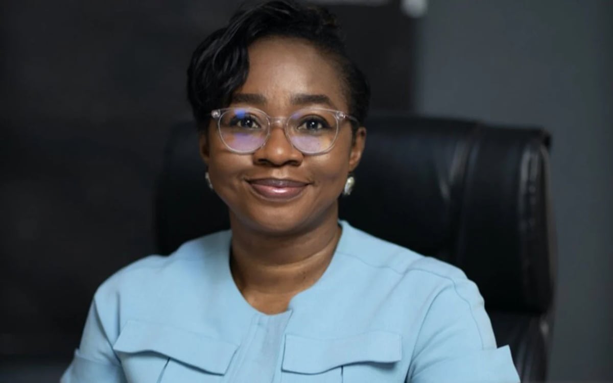 Nigeria to Deploy 80M Green Cookstoves in Climate Push - Image 2