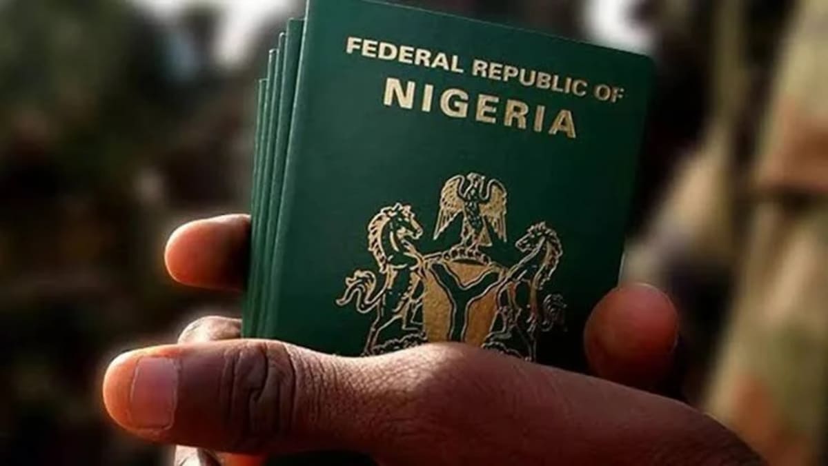Nigeria Launches App-Based Passport Renewal for Diaspora