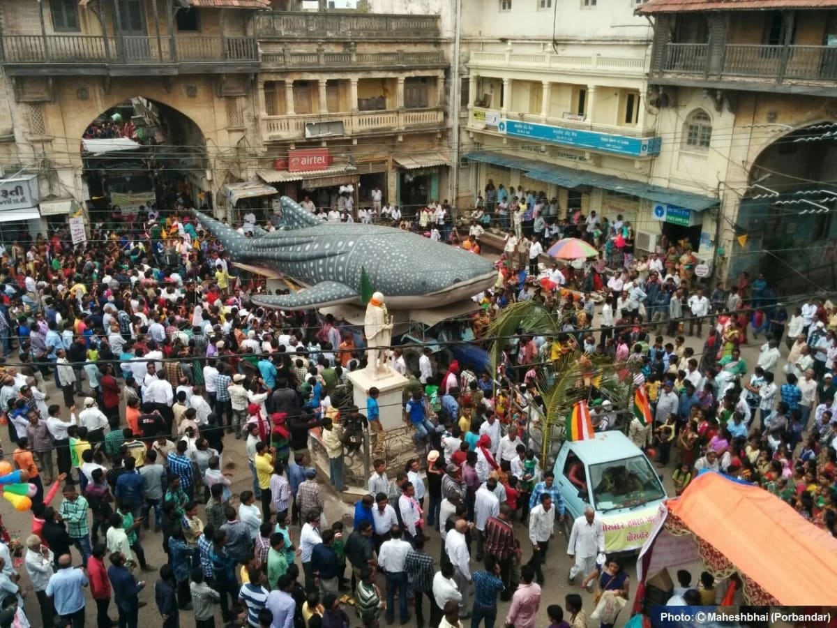 Indian Fishermen Now Worship the Whale Sharks They Once Killed