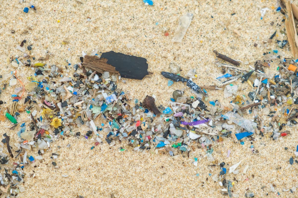 ** Close-up view of washing machine filter designed to capture microplastic fibers from synthetic clothing