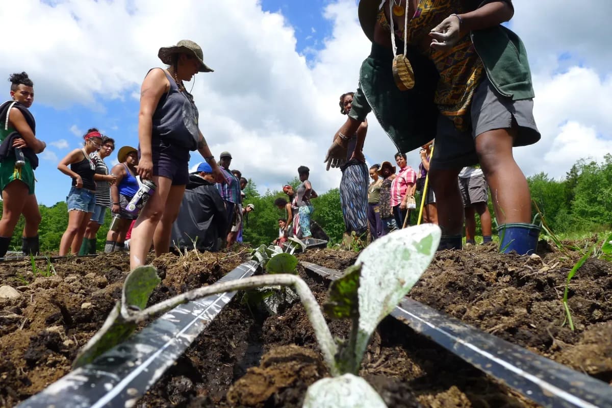 Black Women Farmers Reclaim Land and Ancestral Roots